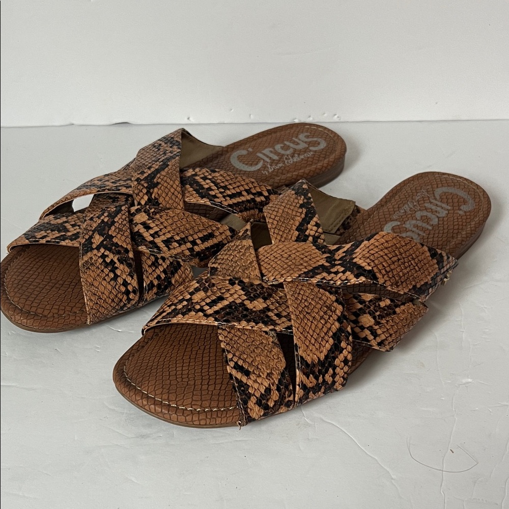 Circus by Sam Edelman Tan Brown Snake Print Slide Sandals